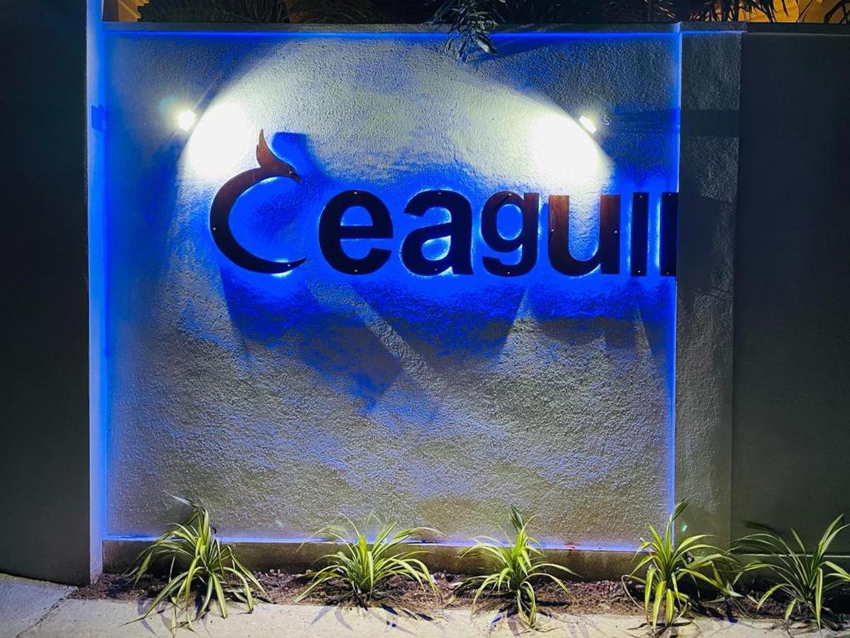 فندق Ceagull آهانغاما المظهر الخارجي الصورة