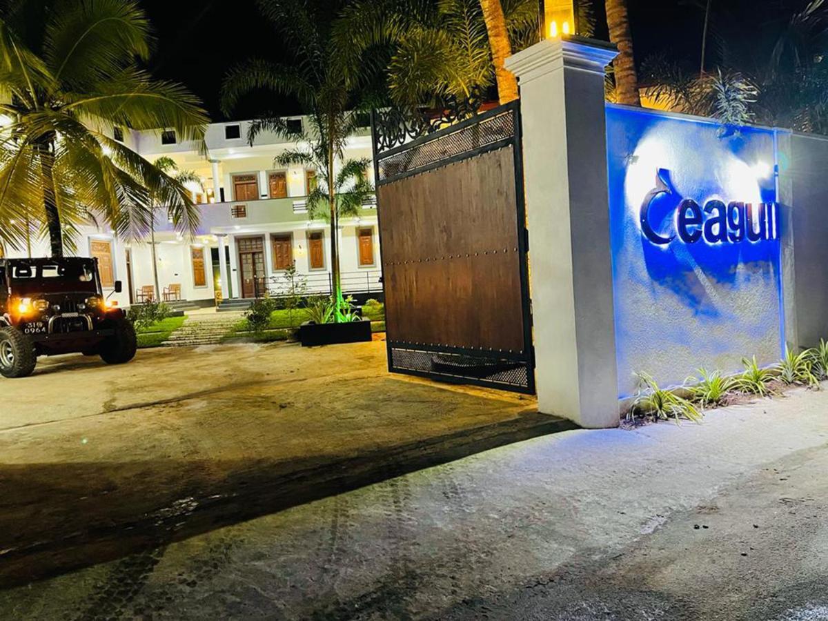 فندق Ceagull آهانغاما المظهر الخارجي الصورة